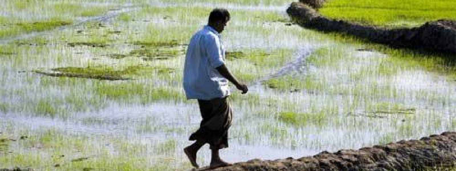 මහ කන්නයේ වගා කටයුතු ගැන සාකච්ඡාව ලබන 8 වැනිදා